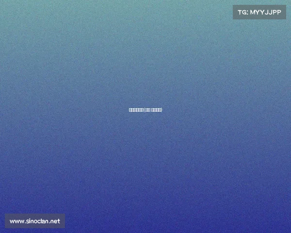 海航电子竞技(海航 中国电子)